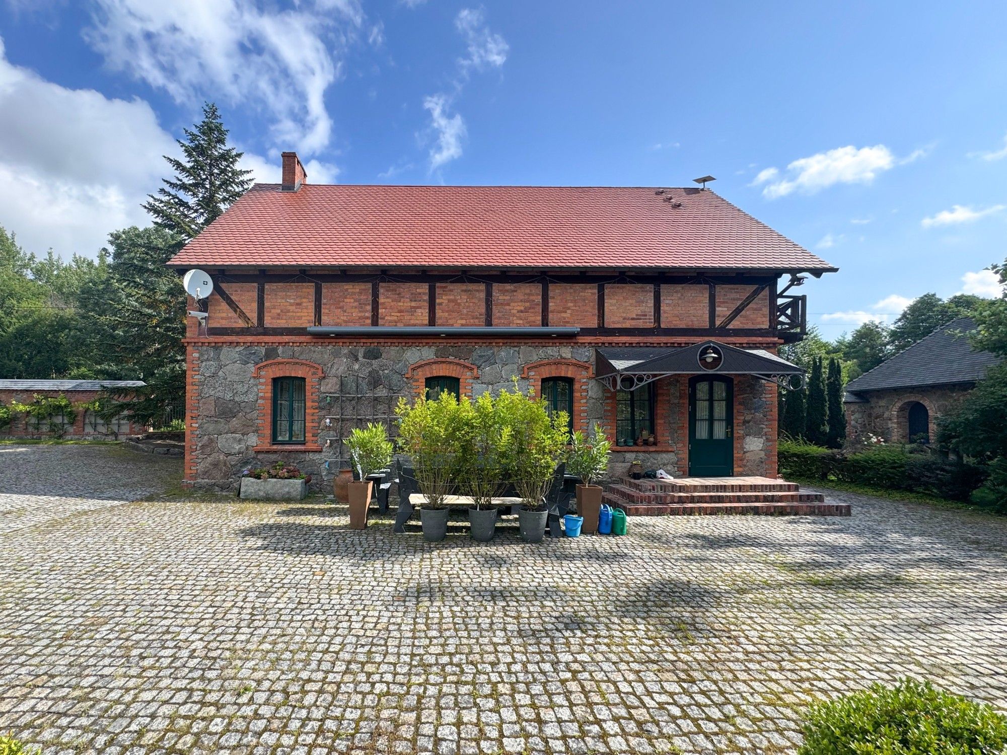 Poméranie occidentale à vendre