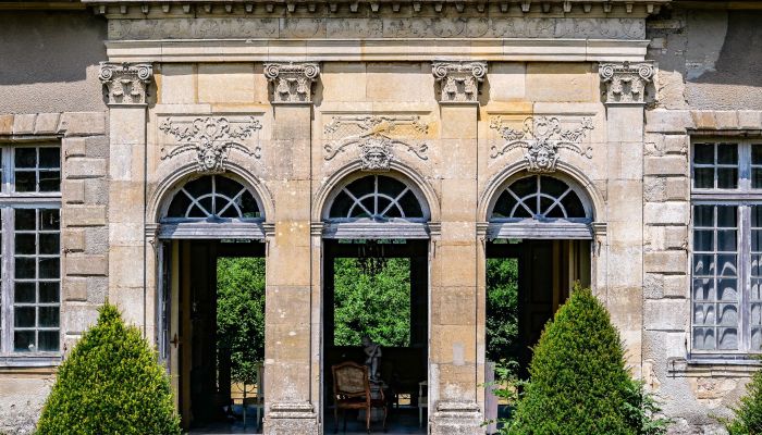 Château à vendre Vitry-le-François, Grand-Est,  France