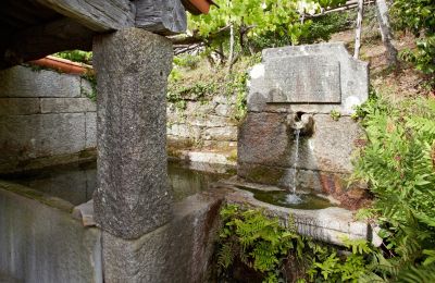 Historisch pand te koop Gondomar, Galicië, Tuin