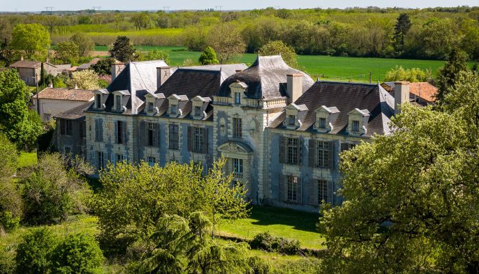 Te renoveren kasteel in West-Frankrijk