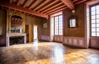 Kasteel te koop Thouars, Nouvelle-Aquitaine, Foto 8/16