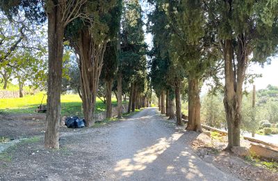 Château te koop Castellar del Vallès, Poligono 19 Parcela 12, Catalogne, Foto 45/50