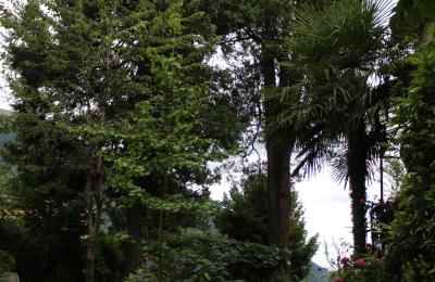 Historische villa te koop Faido, Ticino, Toegang