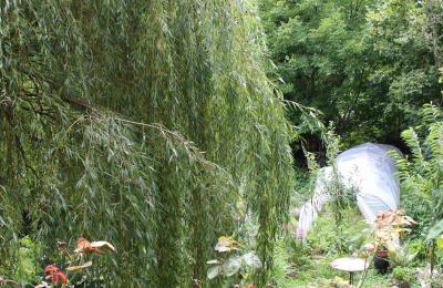 Historische villa te koop Faido, Ticino, Foto 31/44