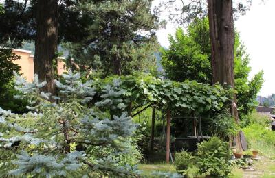 Historische villa te koop Faido, Ticino, Foto 26/44