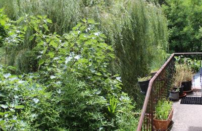 Historische villa te koop Faido, Ticino, Foto 23/44