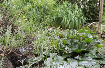 Historische villa te koop Faido, Ticino, Foto 28/44