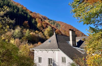 Demeure historique à vendre Waidhofen an der Ybbs, Niederösterreich, Image 31/40