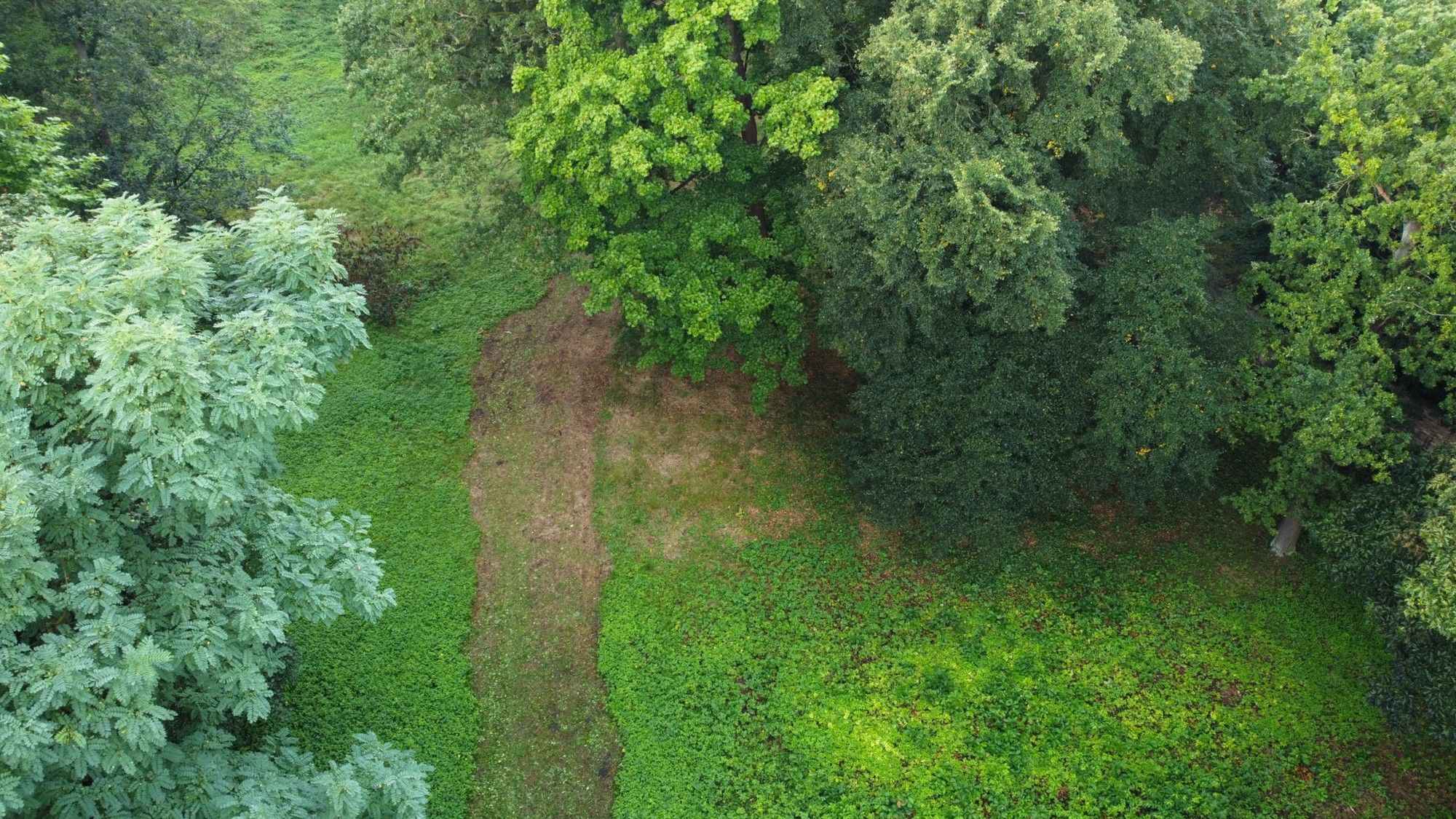 Photos Historisches Gelände mit Baumöglichkeit in der Denkmalzone von Iłowa (Schloss Halbau)