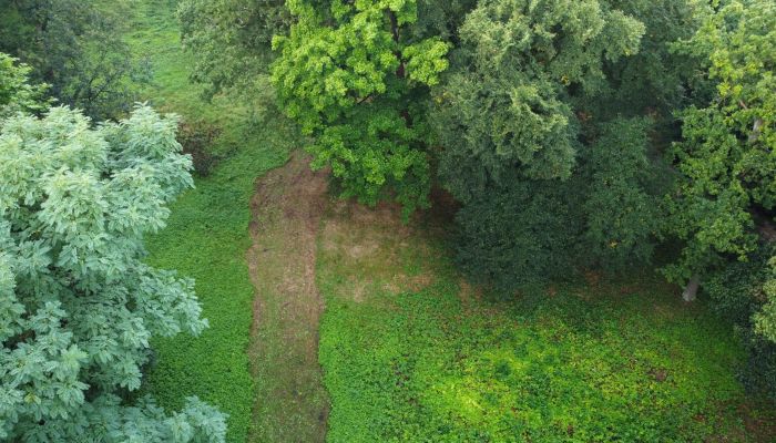 Historischer Garten im Umfeld von Schloss Iłowa