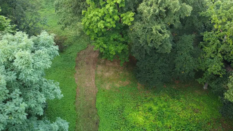 Parc historique à vendre Iłowa, Lubusz,  Pologne, 1