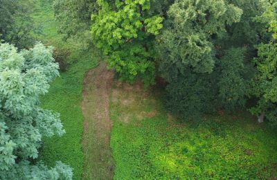 Historische panden, Kleiner Park mit Baumöglichkeit in der Denkmalzone von Iłowa (Schloss Halbau)