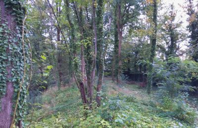 Parc historique à vendre Iłowa, Kolejowa 11, Lubusz, Image 7/17