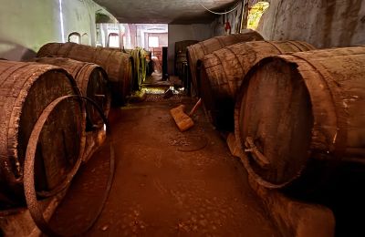 Hôtel particulier à vendre Ribera, Roma 37, Sicile, Cave à vin