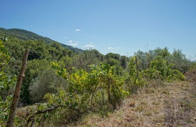 Molen te koop Cortona, strada provinciale 34, Toscane, Foto 12/35
