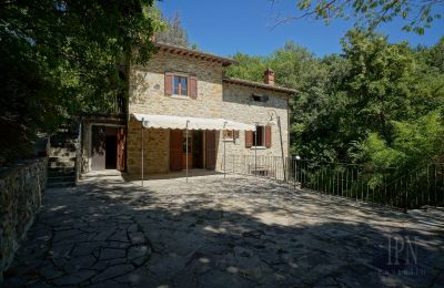 Molen te koop Cortona, strada provinciale 34, Toscane, Foto 7/35