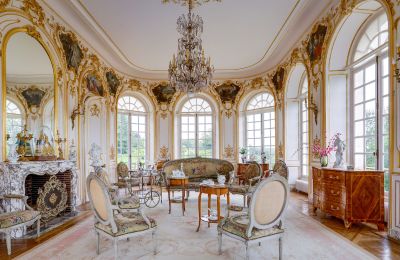 Kasteel te koop Abbeville, Hauts-de-France, Salon