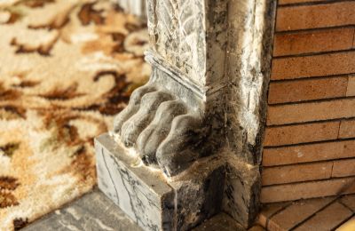 Manoir à vendre Nantes, Pays de la Loire, Image 10/16