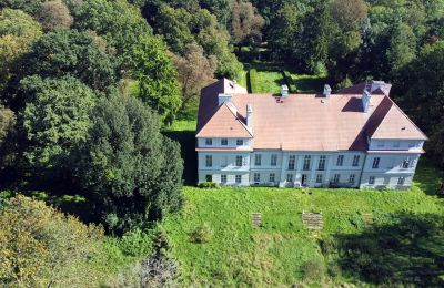 Château à vendre Siedlec, Pałac w Siedlcu, Grande-Pologne, Pałac w Siedlcu