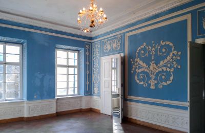 Château à vendre Siedlec, Pałac w Siedlcu, Grande-Pologne, Salon