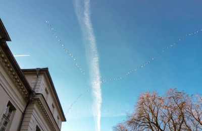 Château à vendre Siedlec, Pałac w Siedlcu, Grande-Pologne, Image 20/20