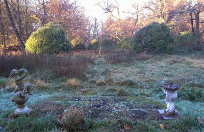 Château à vendre Siedlec, Pałac w Siedlcu, Grande-Pologne, Parc
