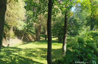 Molen te koop Netvořice, okres Benešov, Foto 21/21
