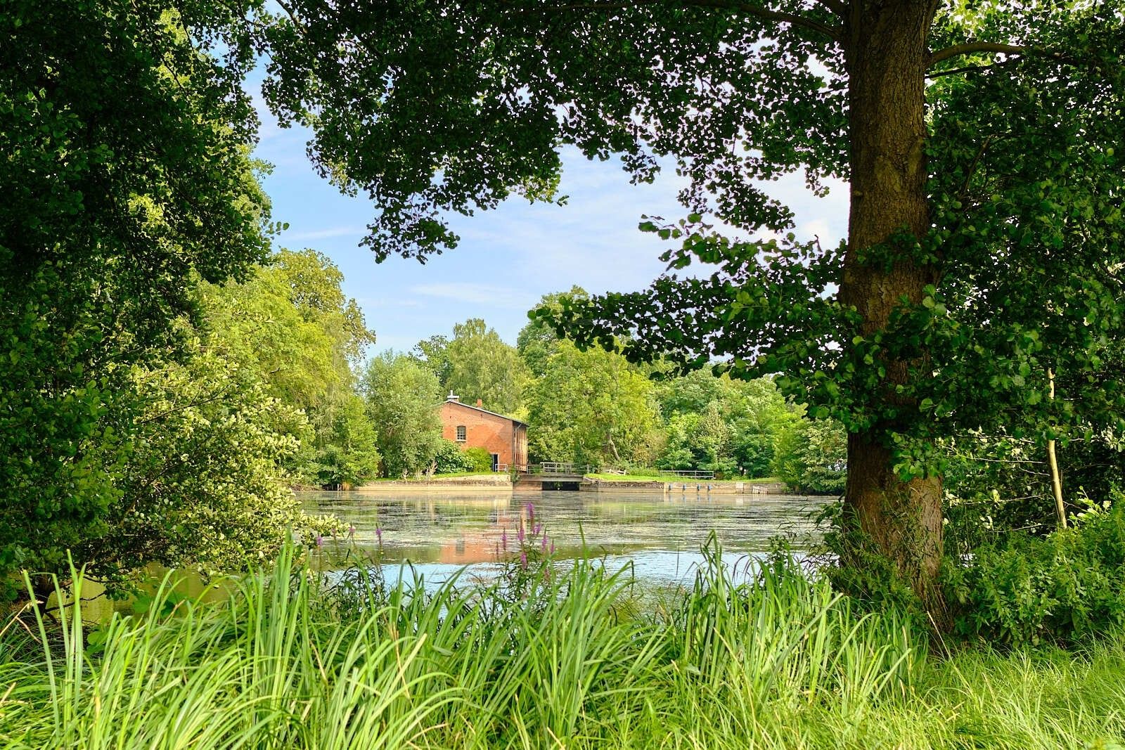 Images Neue Alte Wassermühle