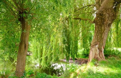 Molen te koop 29451 Dannenberg, Niedersachsen, Foto 17/20