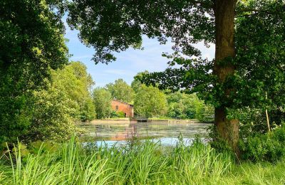 Moulin 29451 Dannenberg, Basse-Saxe