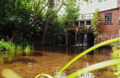Molen te koop 29451 Dannenberg, Niedersachsen, Foto 19/20