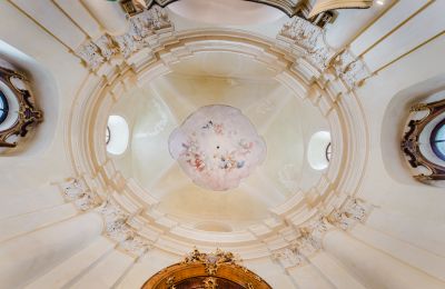 Château à vendre 4693 Desselbrunn, Haute-Autriche, Rokokofresken und Altäre in der Schlosskapelle