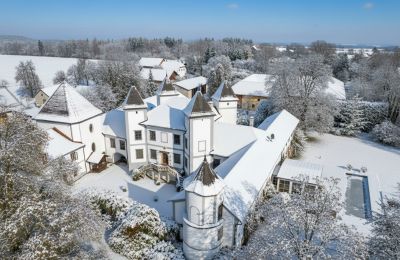 Kasteel te koop 4693 Desselbrunn, Opper-Oostenrijk, Die Südwestansicht samt Poolanlage