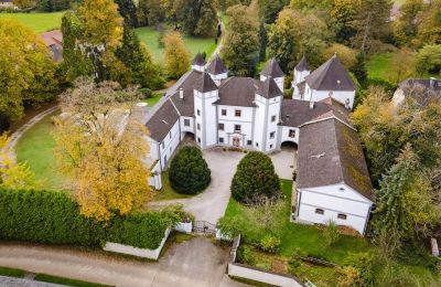 Château à vendre 4693 Desselbrunn, Haute-Autriche, Image 2/22