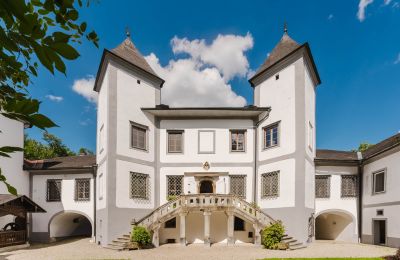 Kasteel te koop 4693 Desselbrunn, Opper-Oostenrijk, Die Nordostansicht