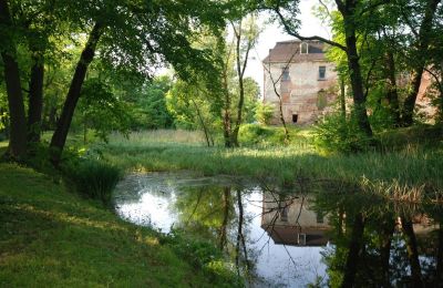 Kasteel te koop Komorowice, Wrocławska 27, Neder-Silezië, Park