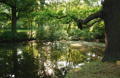 Kasteel te koop Komorowice, Wrocławska 27, Neder-Silezië, Foto 15/27
