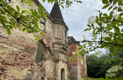 Kasteel te koop Komorowice, Wrocławska 27, Neder-Silezië, Foto 3/27