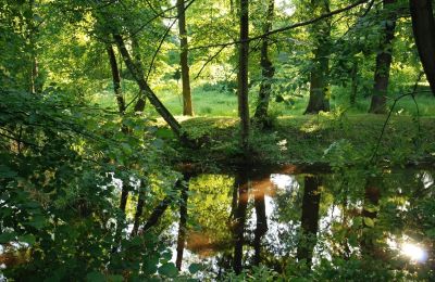 Kasteel te koop Komorowice, Wrocławska 27, Neder-Silezië, Foto 18/27