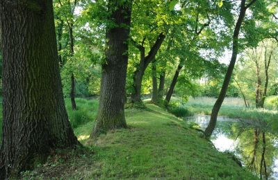Kasteel te koop Komorowice, Wrocławska 27, Neder-Silezië, Foto 19/27
