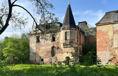 Kasteel te koop Komorowice, Wrocławska 27, Neder-Silezië, Foto 4/27