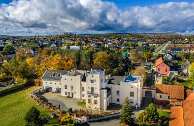 Château à vendre Trnová, okres Praha-západ, Photo Drone