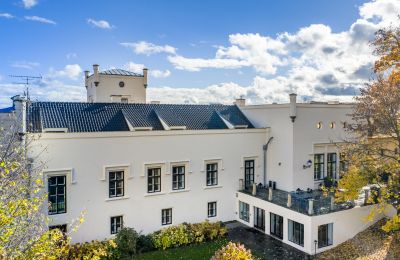 Château à vendre Trnová, okres Praha-západ, Image 33/53