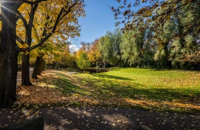 Château à vendre Trnová, okres Praha-západ, Image 38/53
