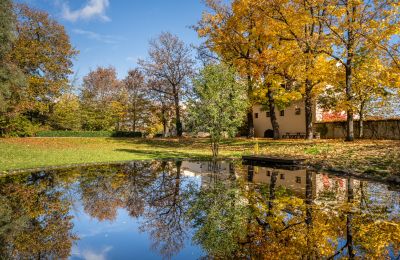 Château à vendre Trnová, okres Praha-západ, Image 40/53