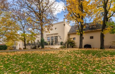 Château à vendre Trnová, okres Praha-západ, Image 42/53