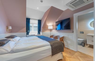 Château à vendre Trnová, okres Praha-západ, Image 18/53