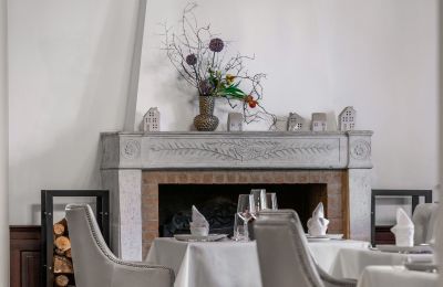 Château à vendre Trnová, okres Praha-západ, Cheminée