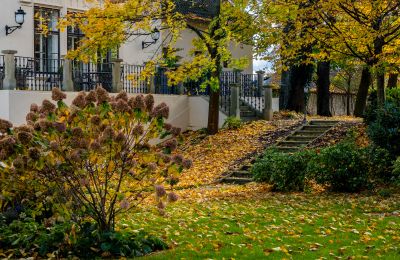 Château à vendre Trnová, okres Praha-západ, Image 49/53