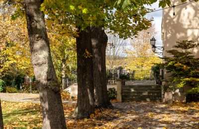 Château à vendre Trnová, okres Praha-západ, Image 53/53